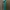 [DINNER NIGHT EDITION] Emerald Maxi Dress 
