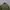 Uniform Bridge & Co M65 Field Jacket photo 4