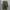 Uniform Bridge & Co M65 Field Jacket photo 6