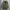 Uniform Bridge & Co M65 Field Jacket photo 2