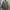 Uniform Bridge & Co M65 Field Jacket photo 3