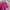 KIPLIIING Warna pink fanta mantul lengkap photo 5