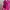 KIPLIIING Warna pink fanta mantul lengkap photo 2