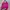 KIPLIIING Warna pink fanta mantul lengkap photo 1