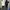 hoddie ziper merch not stussy noah lmc jnco  photo 7