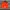 Stussy Streetwear Hat Pria orange photo 1