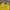 Stussy Streetwear Hat Pria yellow photo 3