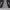 Y2K purple one set lace tanktop photo 4