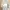 outer photo 1