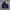 Stussy Streetwear Hat Pria navy photo 1
