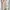y2k Forever 21 pink mesh dress photo 2