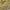 National Geographic Casual Bag Pria khaki photo 3