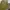 National Geographic Casual Bag Pria khaki photo 4