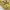 National Geographic Casual Bag Pria khaki photo 2