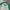 Lacoste Long Sleeve photo 2
