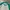 Lacoste Long Sleeve