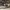 Shimano fishing jacket goretex Gorpcore Size photo 3