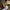Shimano fishing jacket goretex Gorpcore Size photo 4