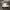 Vans Old Skool photo 1
