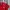Kaos The North Face Red