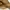 Y2k Misch Masch Tank Top Raffle Animal Skin  photo 3