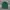 Stussy Streetwear Hat Pria green photo 3