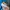 Montbell Gorpcore Windbreaker Pria blue photo 4