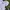 Uniqlo Gorpcore Windbreaker Pria white photo 2