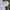 Uniqlo Gorpcore Windbreaker Pria White