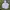 Uniqlo Gorpcore Windbreaker Pria white photo 1
