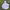 Uniqlo Gorpcore Windbreaker Pria White