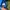 The North Face Gorpcore Sportswear Windbreaker Pria blue photo 5