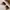 Ray Ban Vintage Casual Sunglass Wanita brown photo 2
