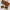 Ray Ban Vintage Casual Sunglass Wanita brown photo 1
