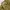 National Geographic Vintage Casual Bag Pria khaki photo 2