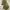 National Geographic Vintage Casual Bag Pria khaki photo 3