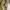 National Geographic Vintage Casual Bag Pria khaki photo 5