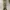 National Geographic Vintage Casual Bag Pria khaki photo 4