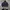 Hoodie Soffe US NAVY 90's photo 1
