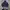 Hoodie Soffe US NAVY 90's