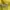 ZARA Minimalist Casual Track jacket Wanita brown yellow photo 3
