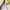 ZARA Minimalist Casual Track jacket Wanita brown yellow photo 4