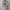 Star Wars x Mark Ecko "Chewbacca" Lucas Film 2018 Full Print photo 1