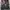 Netflix Stranger Things "Eleven. Friends Don't Lie" Women TS photo 5