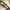 omega geneve tapestry dial photo 6