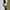 omega geneve tapestry dial photo 2