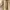 GAP Minimalist Casual Fleece Wanita tan photo 2