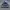 Stussy Streetwear Hat Pria blue photo 4