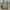 Edited Soon