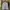 Polo Ralph Lauren Streetwear Y2K Formal shirt Pria white blue photo 1